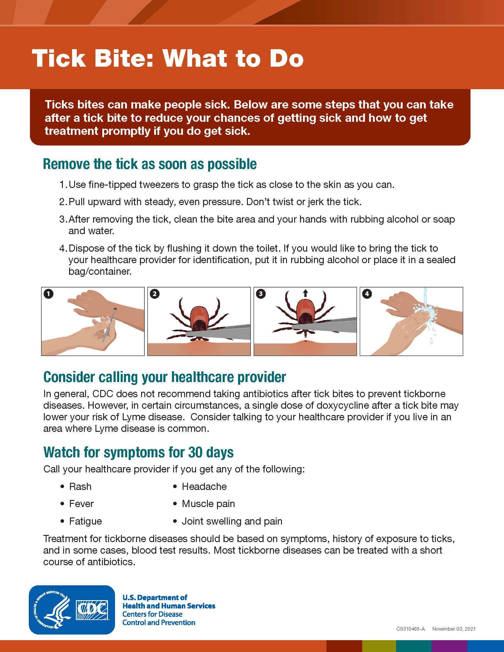 Tick bites - symptoms, treatments and prevention